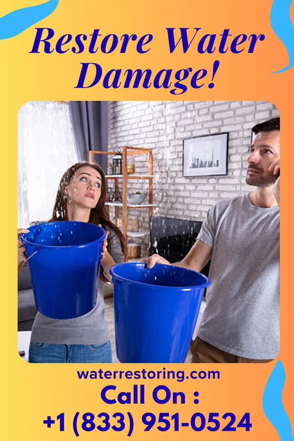 water restoration Power Recovery Company Vermilion