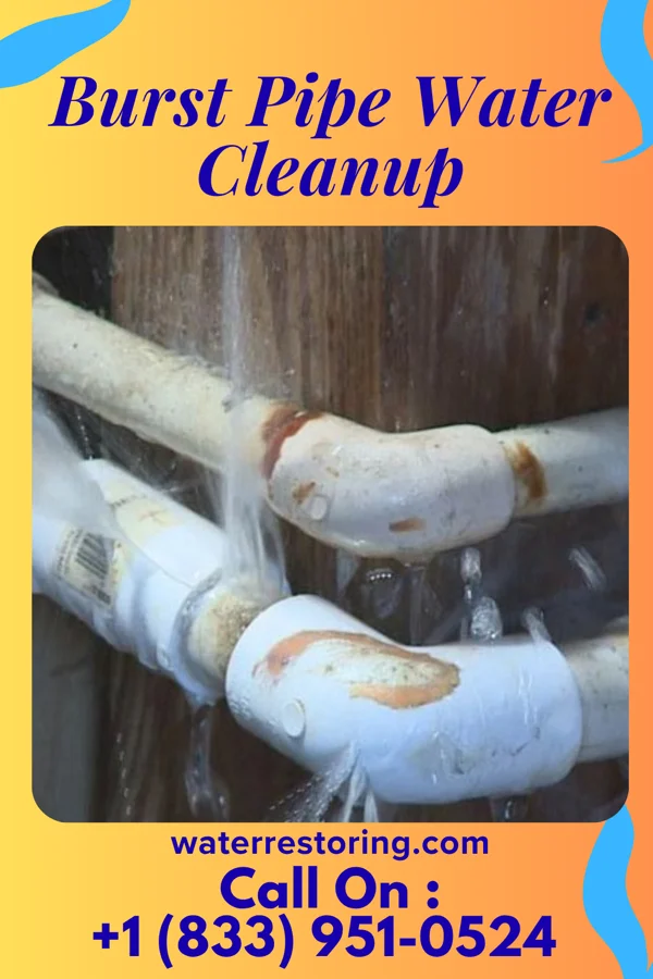 Burst Pipe Water Cleanup in Vermilion, OH
