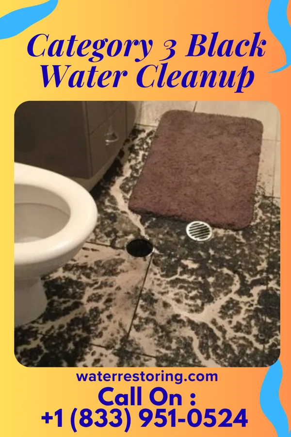 Category 3 Black Water Cleanup in Vermilion, OH