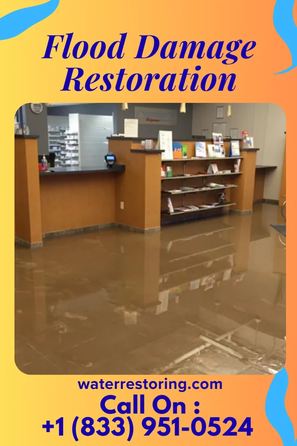 Flood Damage Restoration in Vermilion, OH
