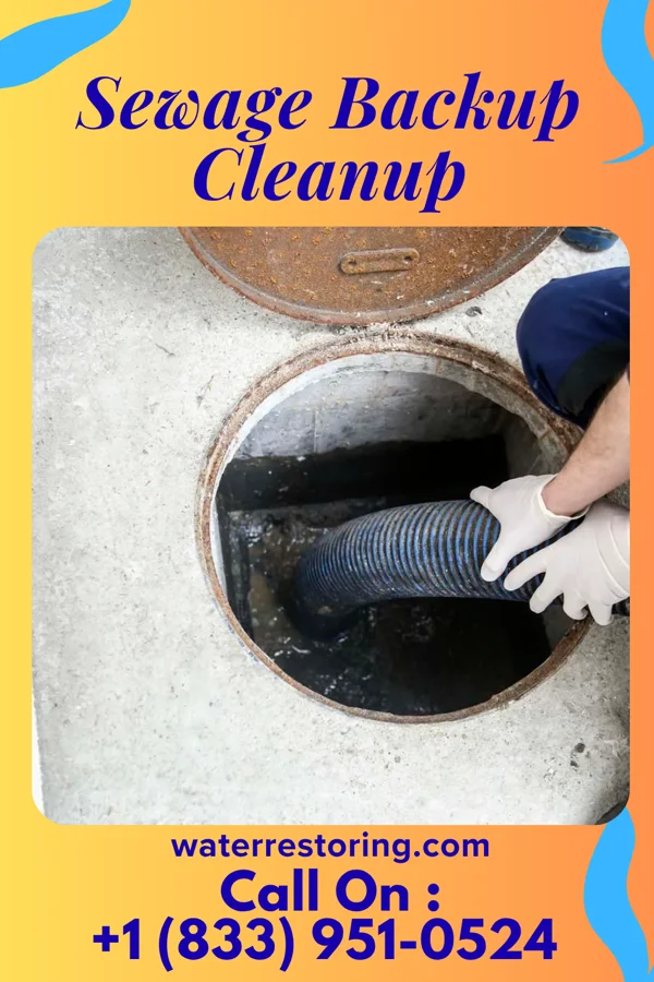 Sewage Backup Cleanup in Vermilion, OH